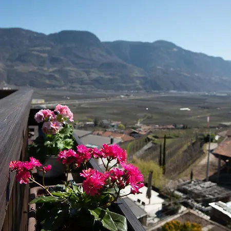 Weingut Pardellerhof Farm stay *