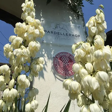 Weingut Pardellerhof Bauernhof Marling